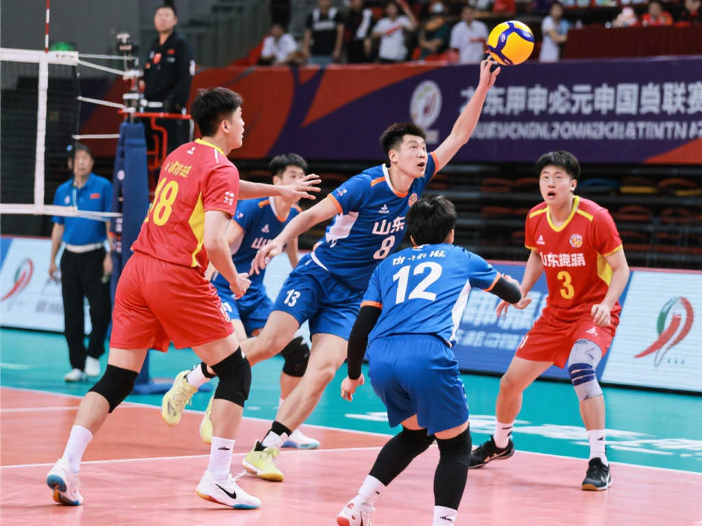 怨与荣誉 怨与荣誉