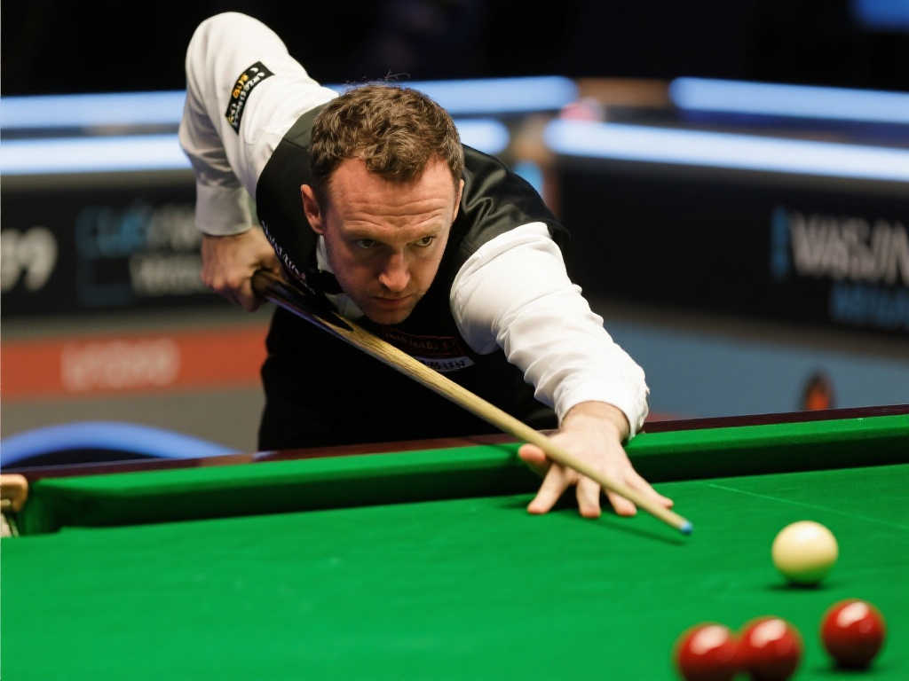 迷的关注 迷的关注