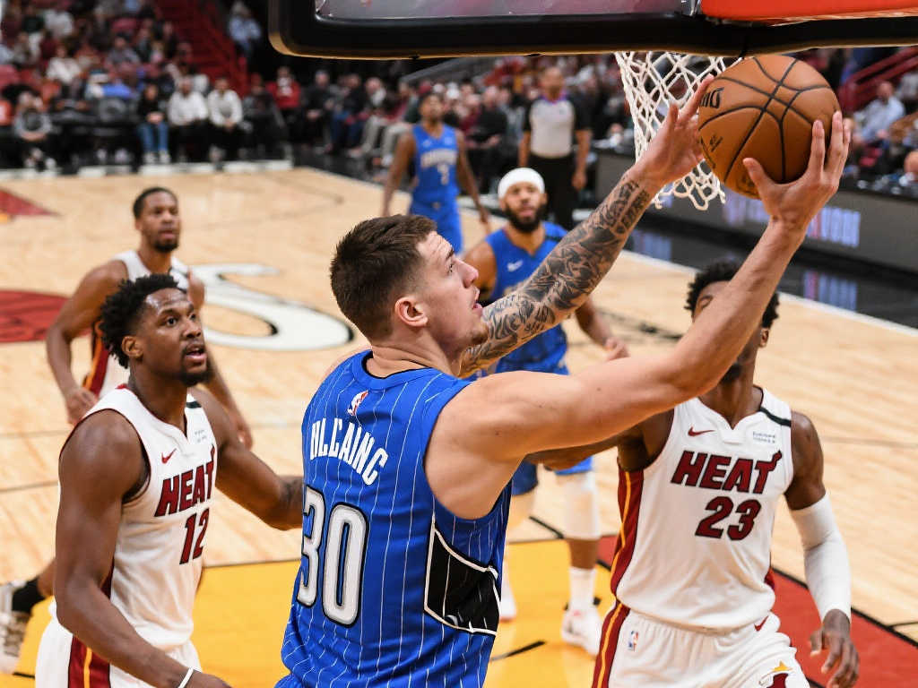 办高规格体 办高规格体